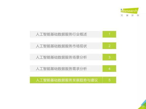中國(guó)人工智能基礎(chǔ)數(shù)據(jù)服務(wù)行業(yè)與基礎(chǔ)軟件開(kāi)發(fā) 協(xié)同驅(qū)動(dòng)智能未來(lái)